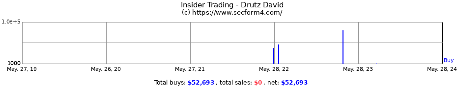 Insider Trading Transactions for Drutz David