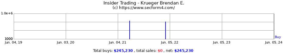 Insider Trading Transactions for Krueger Brendan E.