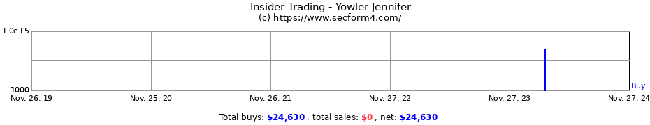 Insider Trading Transactions for Yowler Jennifer